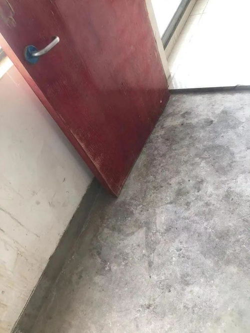 泡沫箱堆積成隱患，回音壁迅速接辦顯擔當