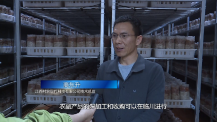 臨川 以項目建設為引擎 跑出工業高質量發展“加速度”